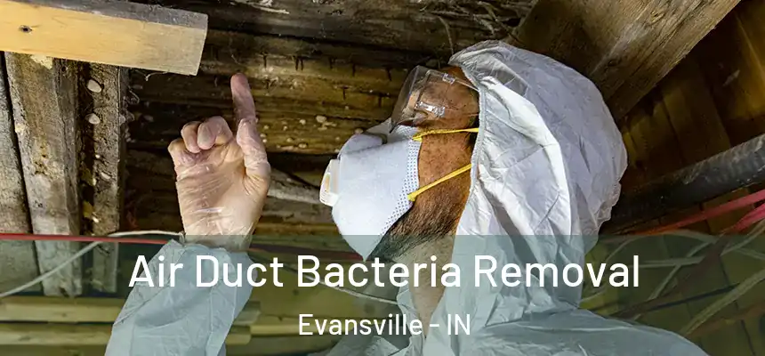 Air Duct Bacteria Removal Evansville - IN