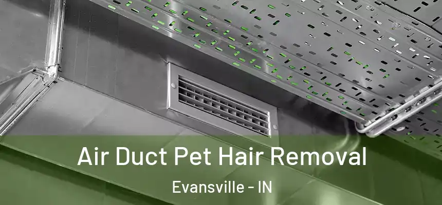 Air Duct Pet Hair Removal Evansville - IN