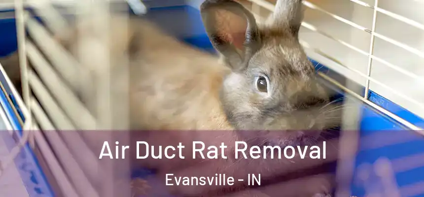 Air Duct Rat Removal Evansville - IN