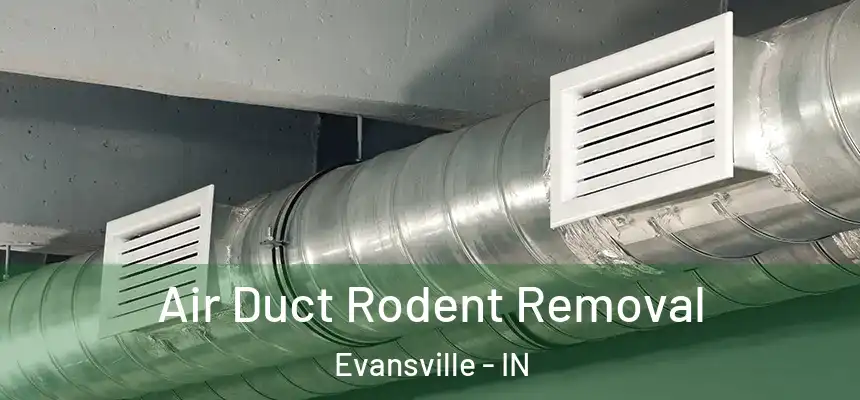 Air Duct Rodent Removal Evansville - IN