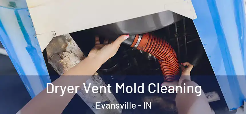 Dryer Vent Mold Cleaning Evansville - IN