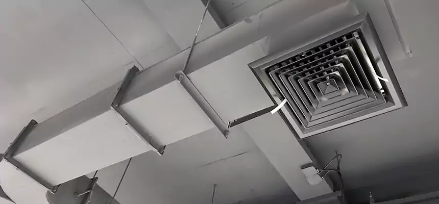 Restorative Allergy Relief Vent Cleaning – Coil, Blower & Housing Detail in Evansville