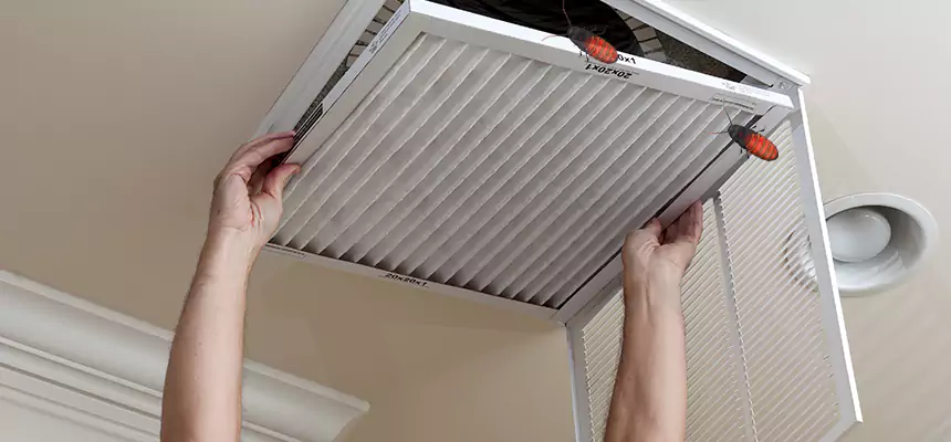 Our Insect Removal from Air Ducts Services in Evansville, IN