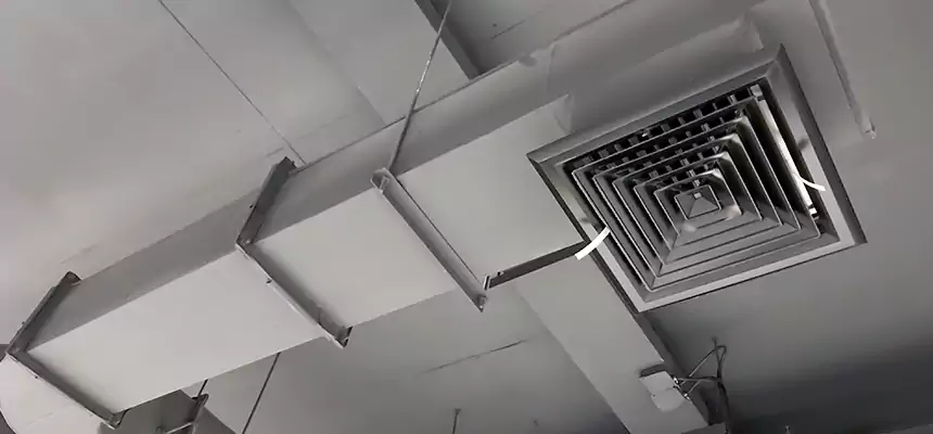 Our Pest Removal From Ducts Services in Evansville, IN