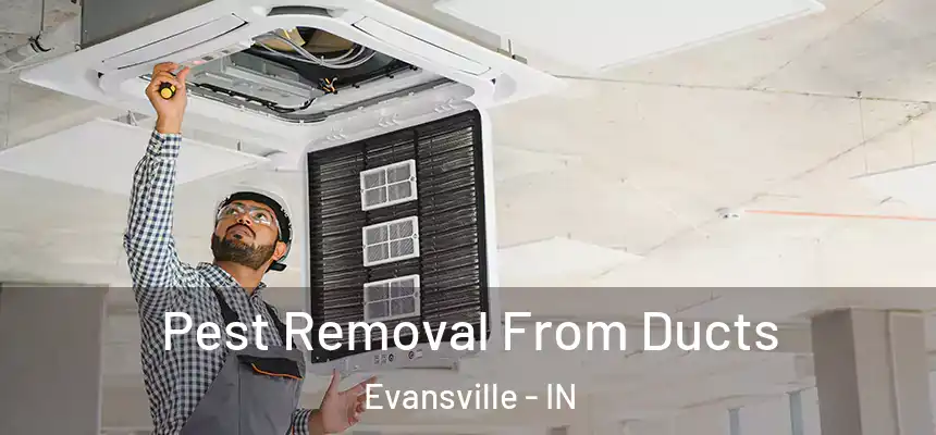  Pest Removal From Ducts Evansville - IN