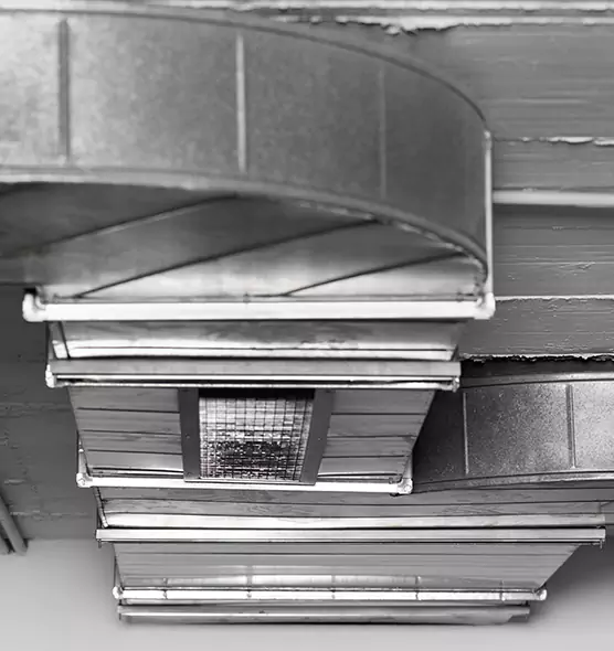 Professional Air Duct Pet Hair Removal in Evansville, IN