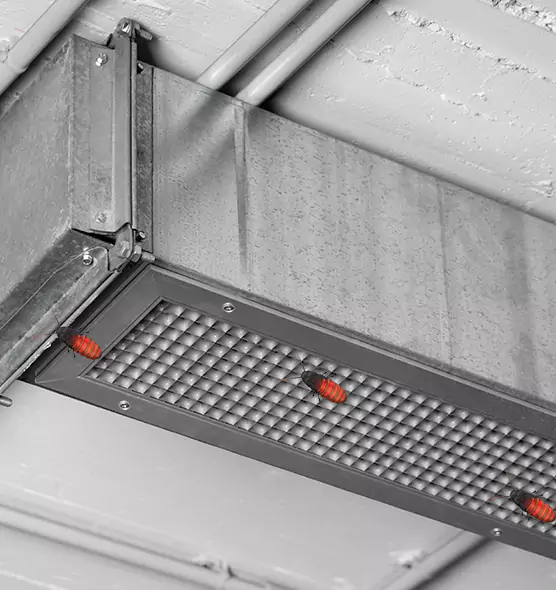 Affordable Insect Removal from Air Ducts in Evansville, IN