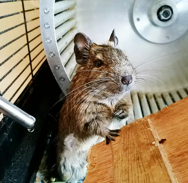 Why Homeowners & Businesses Trust Us Evansville, IN