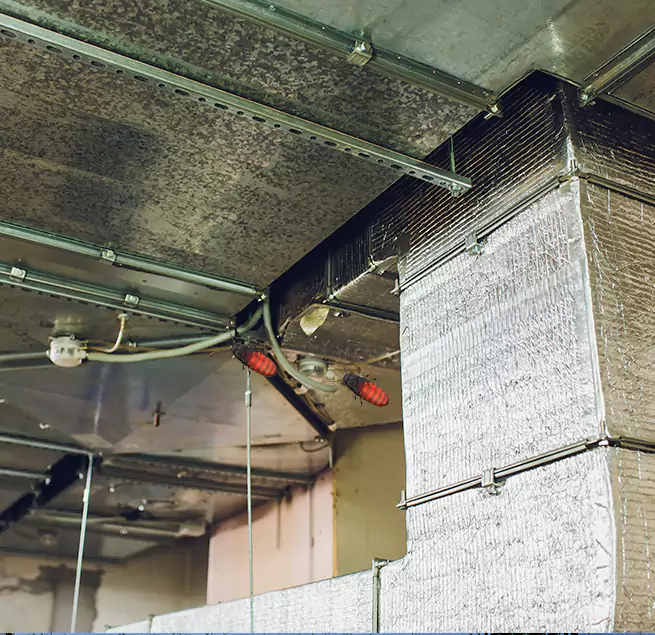 Why Homeowners & Businesses Trust Us Evansville, IN?