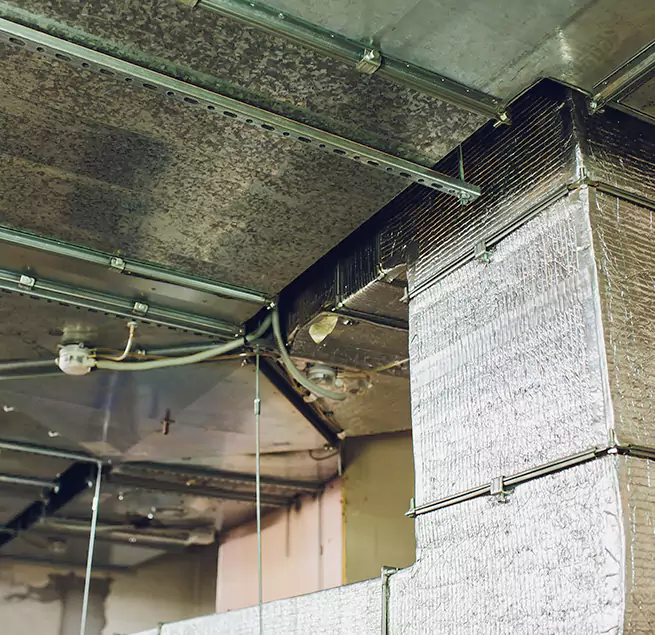 Why Homeowners & Businesses Trust Us in Evansville, IN?